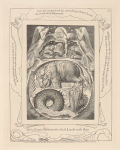 Boek van Job, Plaat 15, Behemoth en Leviathan door William Blake