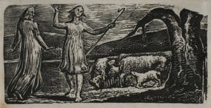Colinet Vertrekt in Verdriet: Gespleten Stam Rechts, uit De Pastoralen van Vergilius