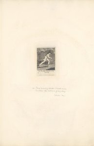 Voor de Geslachten - De Poorten van het Paradijs, Plaat 16, De Reiziger haast zich in de Avond door William Blake