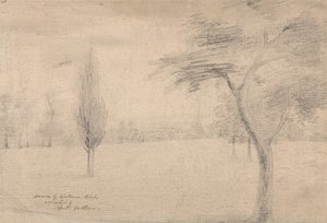 Landschap met Torenspits