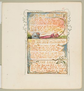 Songs of Innocence and of Experience: My Pretty Rose Tree, Ah! Sun-Flower, The Lily, ca. 1825 door William Blake