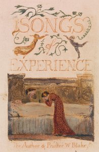 Liederen van Onschuld en Ervaring, Plaat 33, Ervaring Titelpagina (Bentley 29) door William Blake