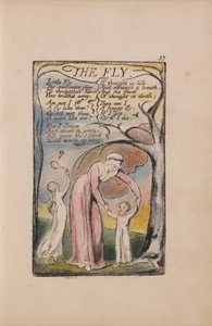 Liederen van Onschuld en Ervaring, Plaat 37, De Vlieg (Bentley 40) door William Blake