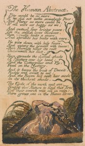 Songs of Innocence and of Experience, Plaat 46, "The Human Abstract" (Bentley 47) door William Blake