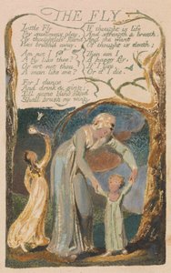 Songs of Innocence and of Experience, Plaat 48, "De Vlieg" (Bentley 40) door William Blake