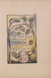 Liederen van Onschuld en Ervaring, Plaat 48, De Zieke Roos (Bentley 39) door William Blake