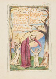 Songs of Innocence and of Experience: The Fly, ca. 1825 door William Blake