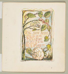 Songs of Innocence and of Experience: The Sick Rose door William Blake