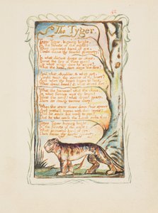 Liederen van onschuld en ervaring: De tijger, ca. 1825