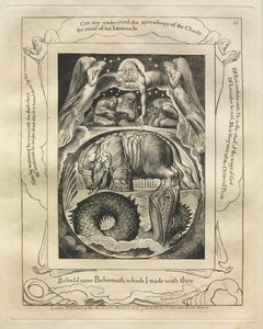 Het Boek van Job: Pl. 15, Zie nu Behemoth die ik met jou heb gemaakt door William Blake