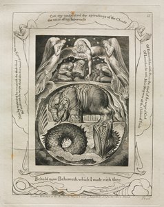 Het Boek van Job: Pl. 15, Zie nu Behemoth die ik met u maakte, 1825 door William Blake
