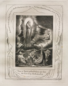 Het Boek van Job: Pl. 9, Toen ging een Geest voor mijn gezicht voorbij het haar van mijn vlees stond overeind, 1825 door William Blake