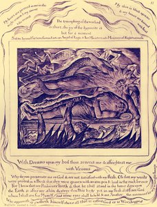 Het Boek Job illustraties door William Blake door William Blake