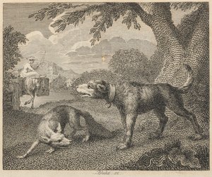 De hond en de vos