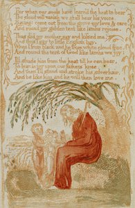 De Kleine Zwarte Jongen, uit Songs of Innocence