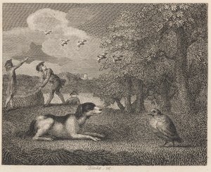De Staande Hond en de Patrijs door William Blake