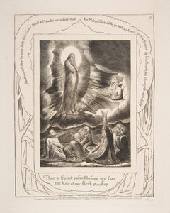 De visie van Eliphaz, uit Illustraties van het Boek Job door William Blake