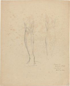 Twee Benen door William Blake