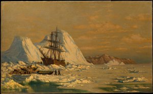  door William Bradford