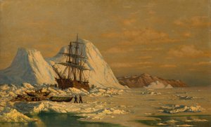 Een incident van walvisvangst door William Bradford