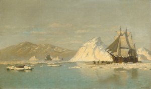  door William Bradford