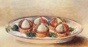 Aigrettes van koude zalm (kleur litho)