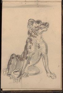 Portret van een hond
