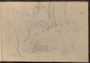 Schets van een groep bomen door William Brockedon