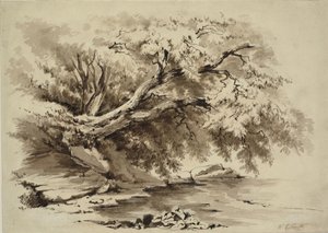 Landschap met bomen die over een meer hangen