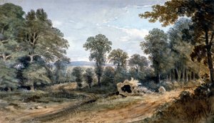 Uitzicht op Bayswater Hill, Londen, 1803