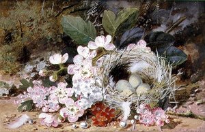 Stilleven van Vogelnest met Sleutelbloemen