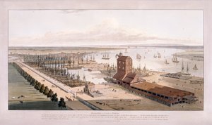 Brunswick Dock, en East India Dock, Poplar, Londen, 1803 door William Daniell