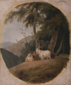 Kasjmir Geiten door William Daniell