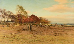 Aardappelen Verzamelen door William Darling McKay