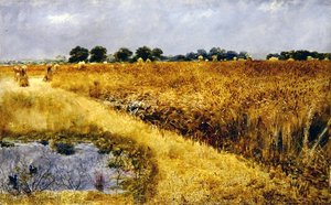 Een Veld met Koren