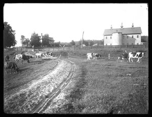 De boerenschuur van de McCready boerderij en Thomas woning, Pennsylvania, c.1913 door William Davis Hassler