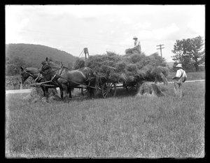 Twee mannen die tarweschoof op een door paarden getrokken kar laden, waarschijnlijk de McCready-boerderij, Crawford County, Pennsylvania