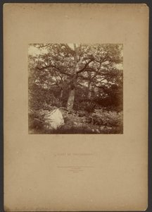 Bos van Fontainebleau door William Drooke Harrison
