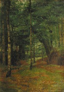 Studie van zonlicht door de bomen, Concarneau
