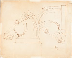 Het Paard van Selene van de Elgin Marbles