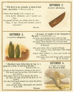 Pagina uit The Bible Emblem Anniversary Book door William Foster