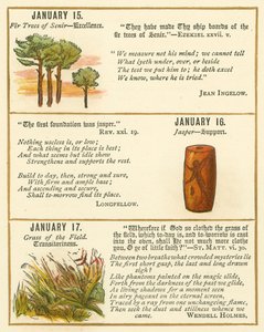 Pagina uit The Bible Emblem Anniversary Book door William Foster