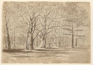 College Woods door William Fowler Hopson