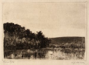 Rivierlandschap
