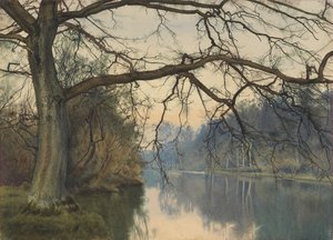 Een grote boom aan een rivier door William Fraser Garden