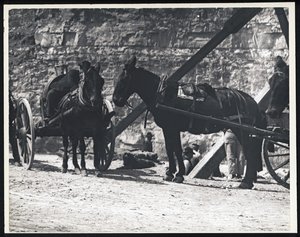 Horizontale zwart-witfoto van twee door paarden getrokken wagens bij een steengroeve door William G. Swekosky