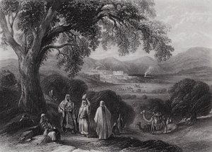 Vallei van Nazareth door William H. Bartlett