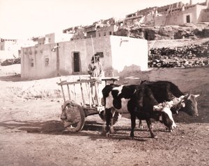 De oude Carreta, Laguna, New Mexico door William H. Jackson