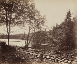 Beukenbosmeer
