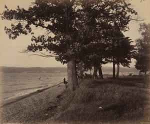 Cayuga Meer, Sheldrake door William H. Rau